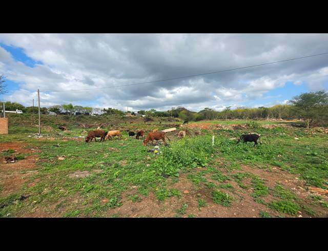 10,198M² VACANT LAND FOR SALE IN KULEKA
